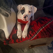 Photo submitted by Laura