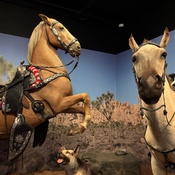 Photo submitted by sherry