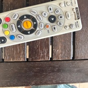 Photo submitted by Lany