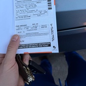 Photo submitted by Guest