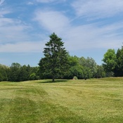 Photo submitted by Cortney