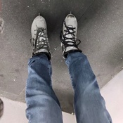 Photo submitted by Guest