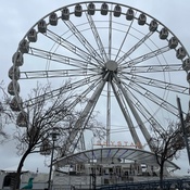 Photo submitted by Tammie