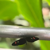 Photo submitted by stephanie