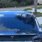 Photo submitted by Dexter