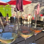 Photo submitted by Tiffany