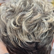 Photo submitted by Guest