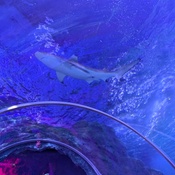 Photo submitted by Kelly