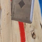 Photo submitted by Monica