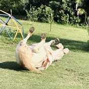 Photo submitted by Guest