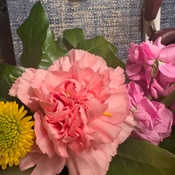 Photo submitted by Gyda