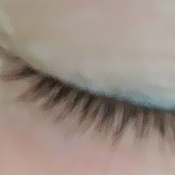 Photo submitted by Samantha