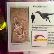 Photo submitted by Irene