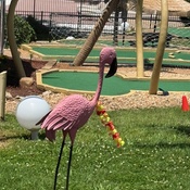 Photo submitted by Sarah