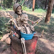 Photo submitted by America