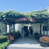 Photo submitted by Carolina