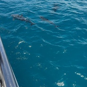 Photo submitted by Karina