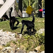 Photo submitted by Amy