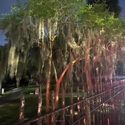 Photo submitted by Serena