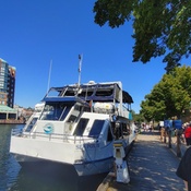 Photo submitted by M