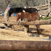 Photo submitted by Hillary