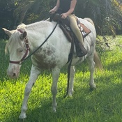 Photo submitted by Natalee