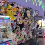 Photo submitted by Adara