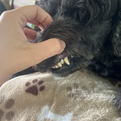 Photo submitted by Maricela