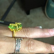 Photo submitted by Lillian