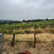 Photo submitted by Elizabeth