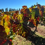 Photo submitted by Valerie