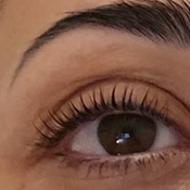 Photo submitted by Sheilla