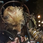 Photo submitted by Patty