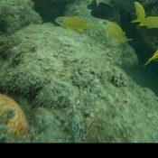 Photo submitted by justin