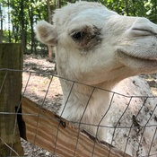 Photo submitted by Kevin