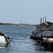 Photo submitted by Synthia