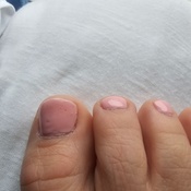 Photo submitted by Sarah