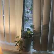 Photo submitted by Empress