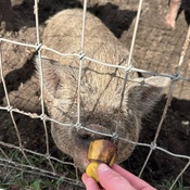 Photo submitted by Guest