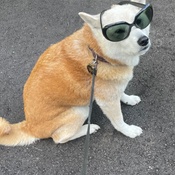 Photo submitted by Guadalupe