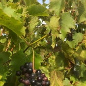 Photo submitted by Angela