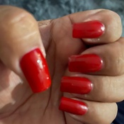 Photo submitted by Nancy