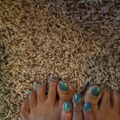 Photo submitted by Hershila