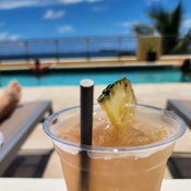 Photo submitted by tracey