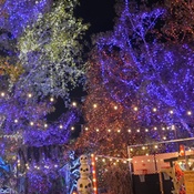 Photo submitted by Marilyn