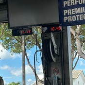 Photo submitted by Daysi