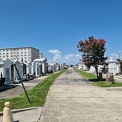 Photo submitted by millicent