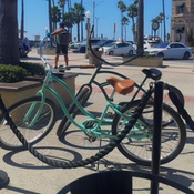 Photo submitted by Tee