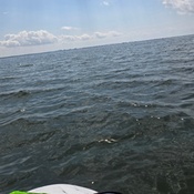 Photo submitted by Brianna