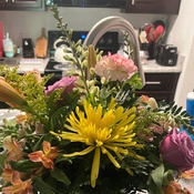 Photo submitted by Lisa